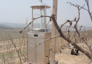 蟲情測報燈在田間應(yīng)用